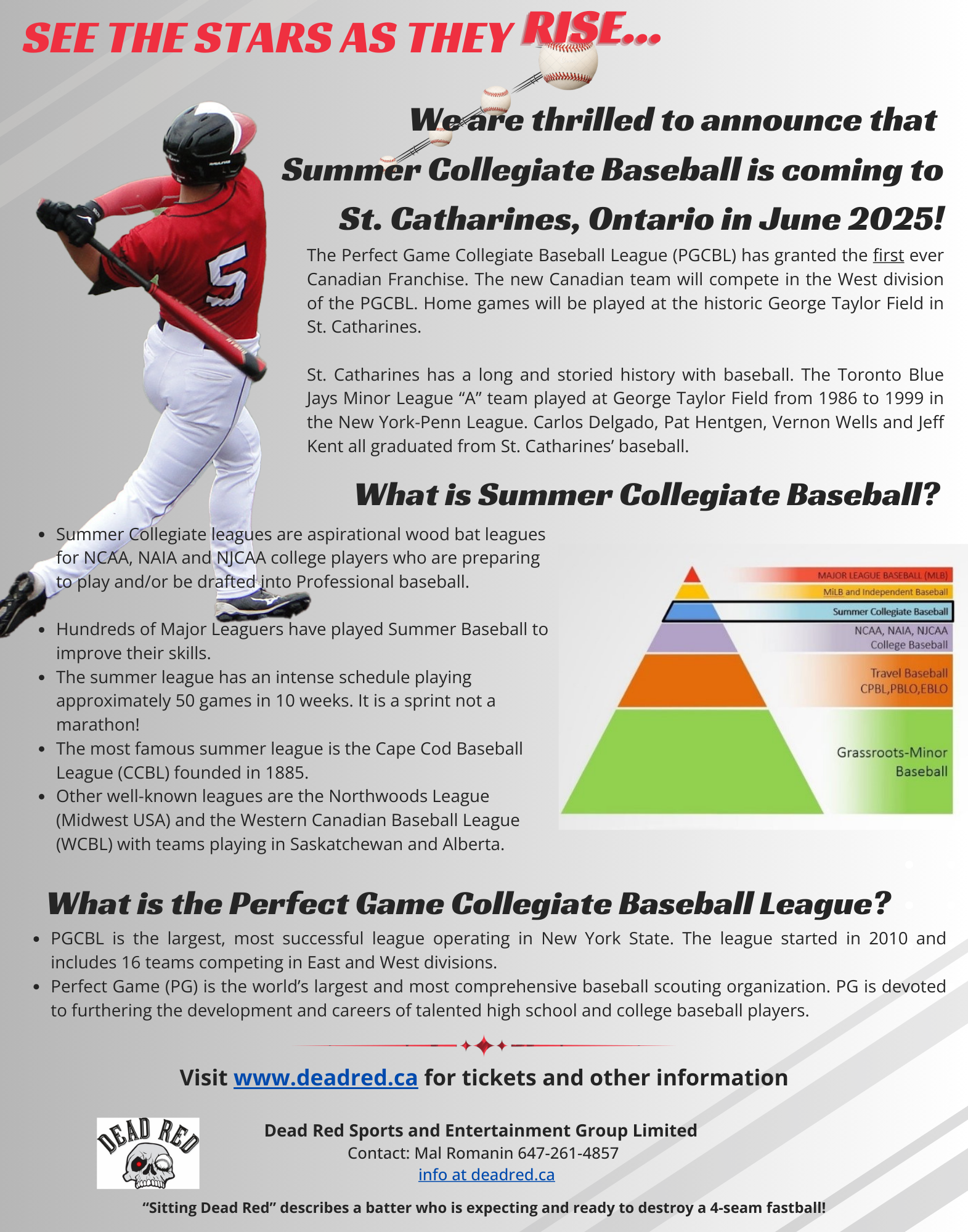 Niagara Ironbacks Logo